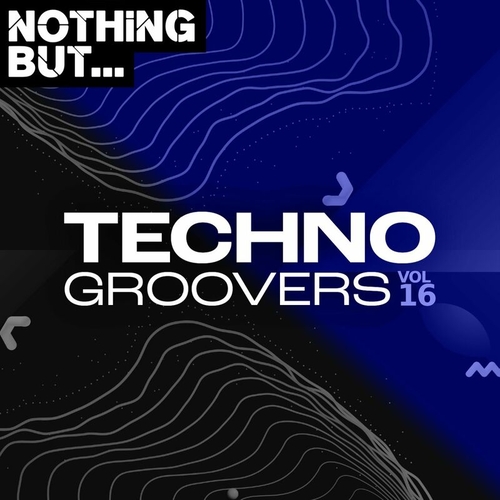 VA - Nothing But... Techno Groovers, Vol. 16 [NBTECHNOG16]